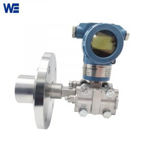 Extended Diaphragm Seal Pressure Level Transmitter