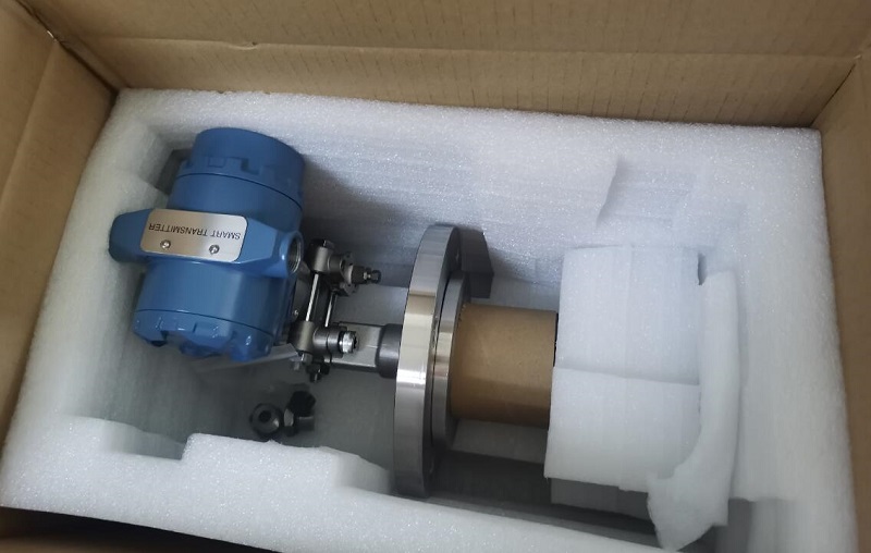 Extended diaphragm seal pressure level transmitter