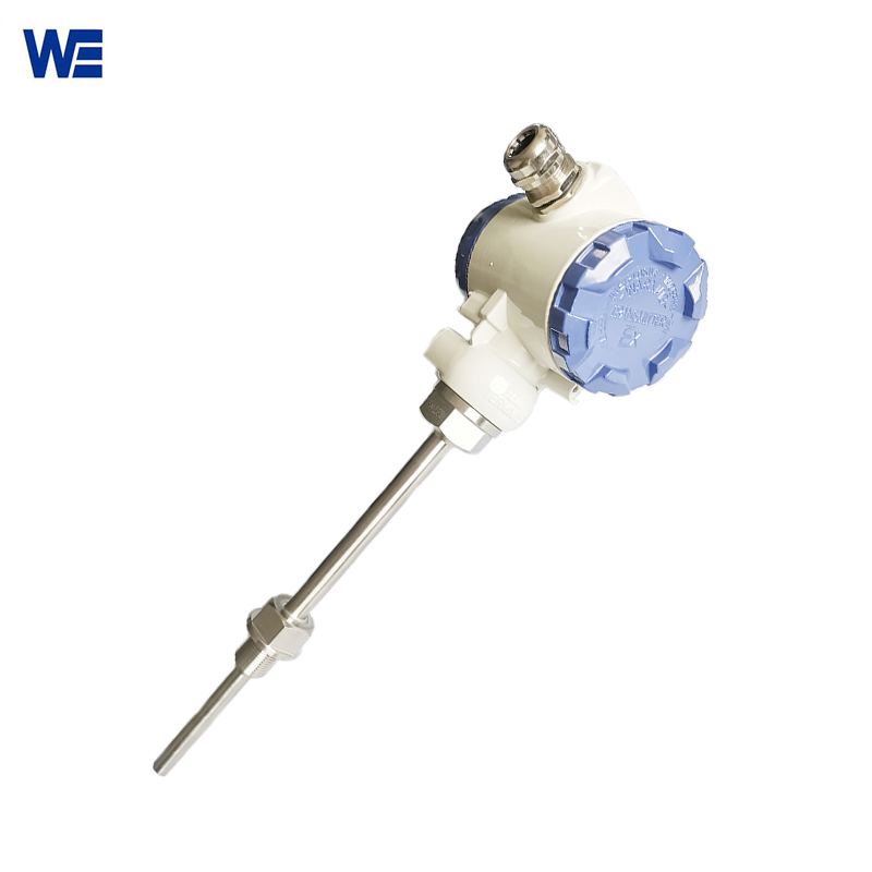 Temperature transmitter with display produced by Wepower electronic