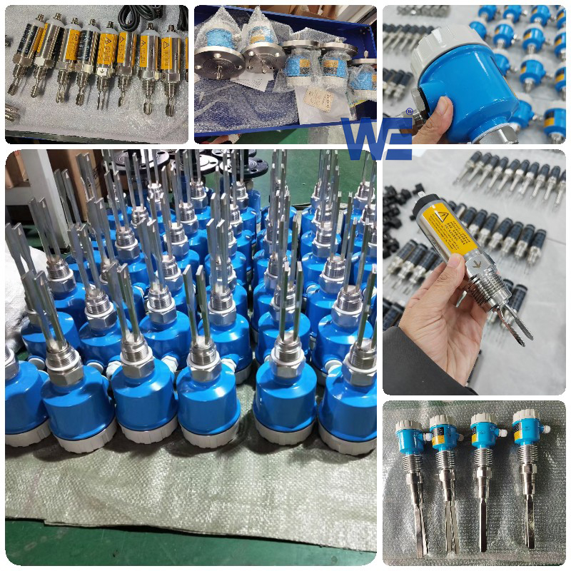 Tuning fork level switch-workshop of Wepower electronic