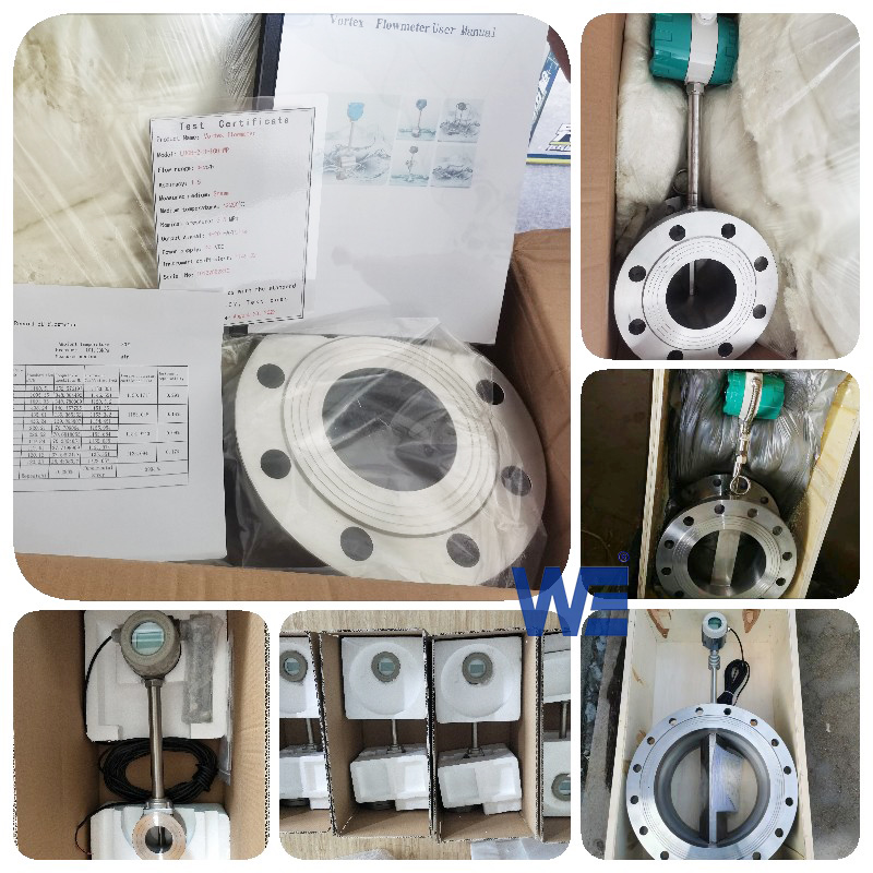 Vortex flow meter-workshop