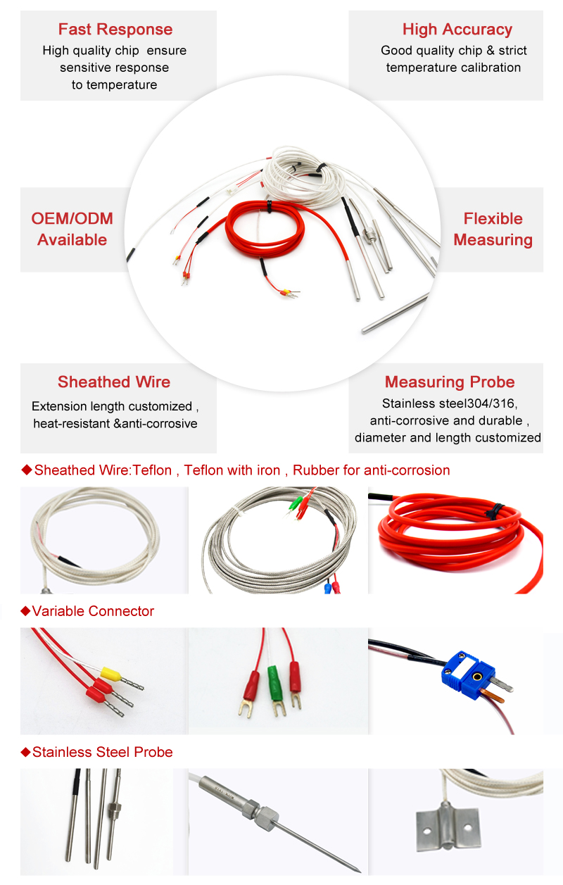 Wepower electronic-PT100 temperature sensor