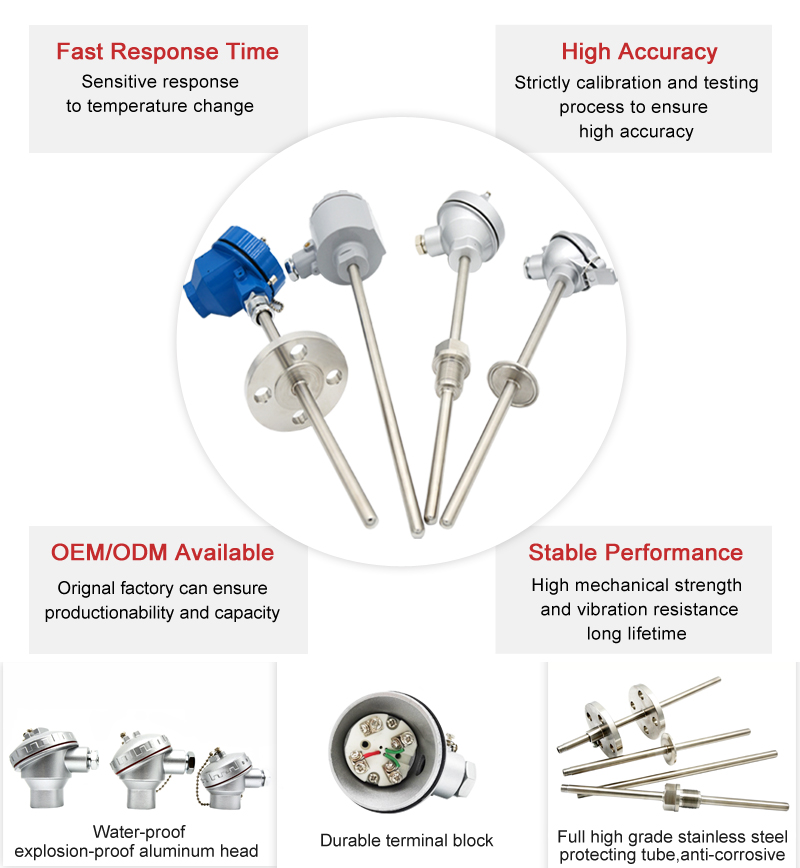 Wepower electronic-Temperature sensor PT100 assembly