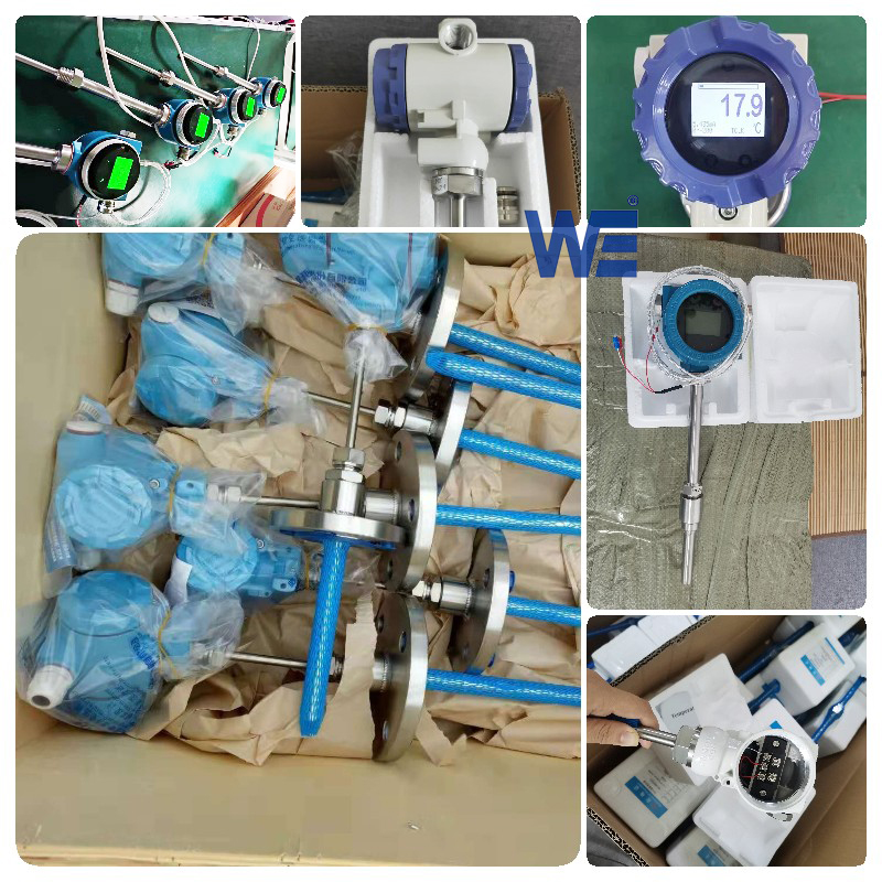 Wepower electronic-Temperature transmitter with display-workshop