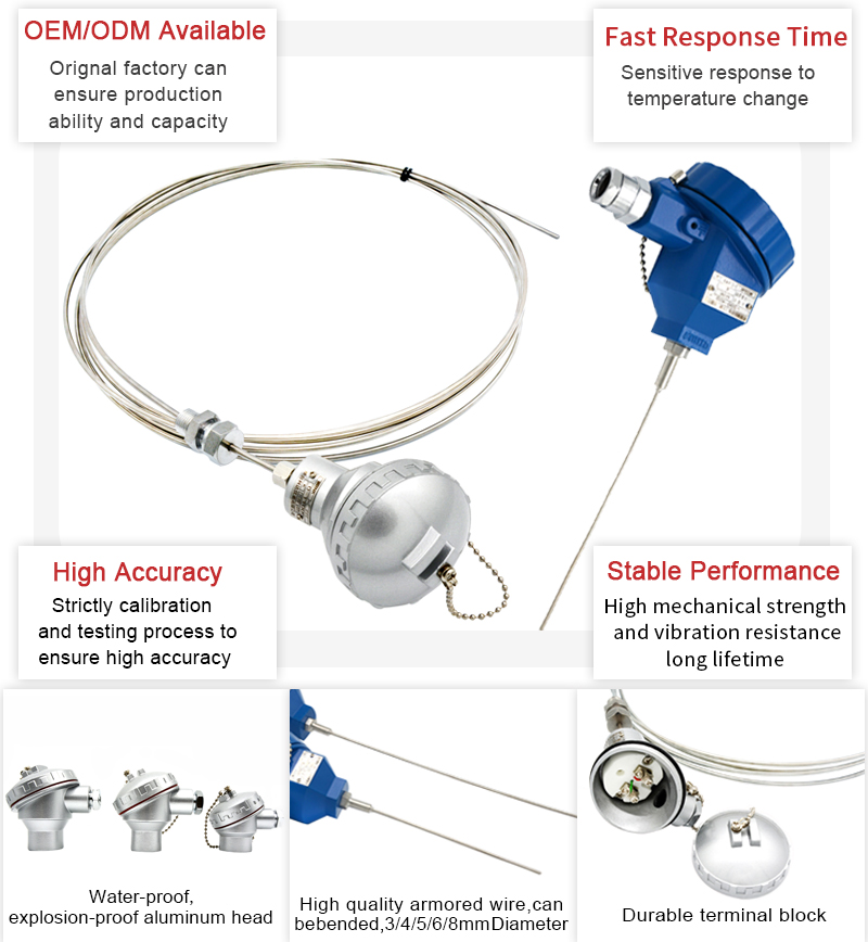 Wepower electronic-armored PT100 sensor