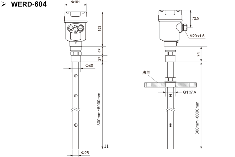 guided wave radar level transmitter-WERD604