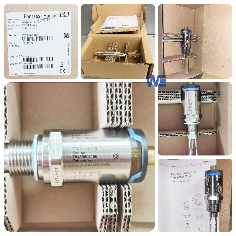 liquiphant FTL31 FTL33 fork level switch